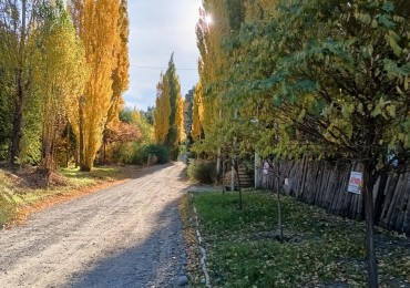 Venta en lote o individual